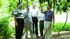 京津冀将创建100家土肥水示范基地，加强水溶肥料应用