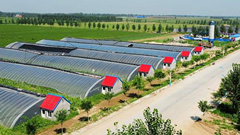 甘肃天水甘泉镇推进农业产业，新型水溶肥料助农增收