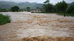 超敏蛋白Harpin：吉林省多地遭受洪灾，农业生产灾后修复迫在眉睫