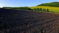吉林省粮食种植中大力提高水溶肥料、农家肥料、有机肥料使用率，保护黑土地
