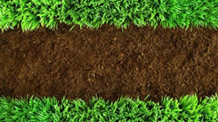 安徽蒙城推进水溶肥料、生物肥料等高效新型肥料使用，助力农业绿色发展