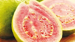 红心芭乐种出致富门道，优质水果防病可选超敏蛋白