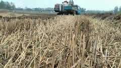 印度开始重视绿色种植，推进稻秆稻草变生物肥料