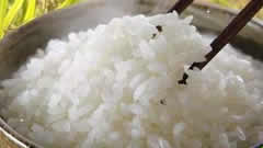 吉林稻米种植迈向有机农业--从优产到优质
